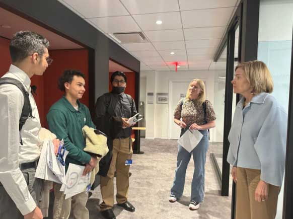 Professional Experience